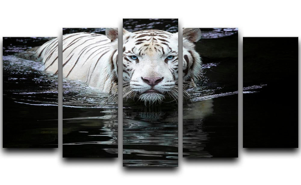 White Tiger Swimming 5 Split Panel Canvas