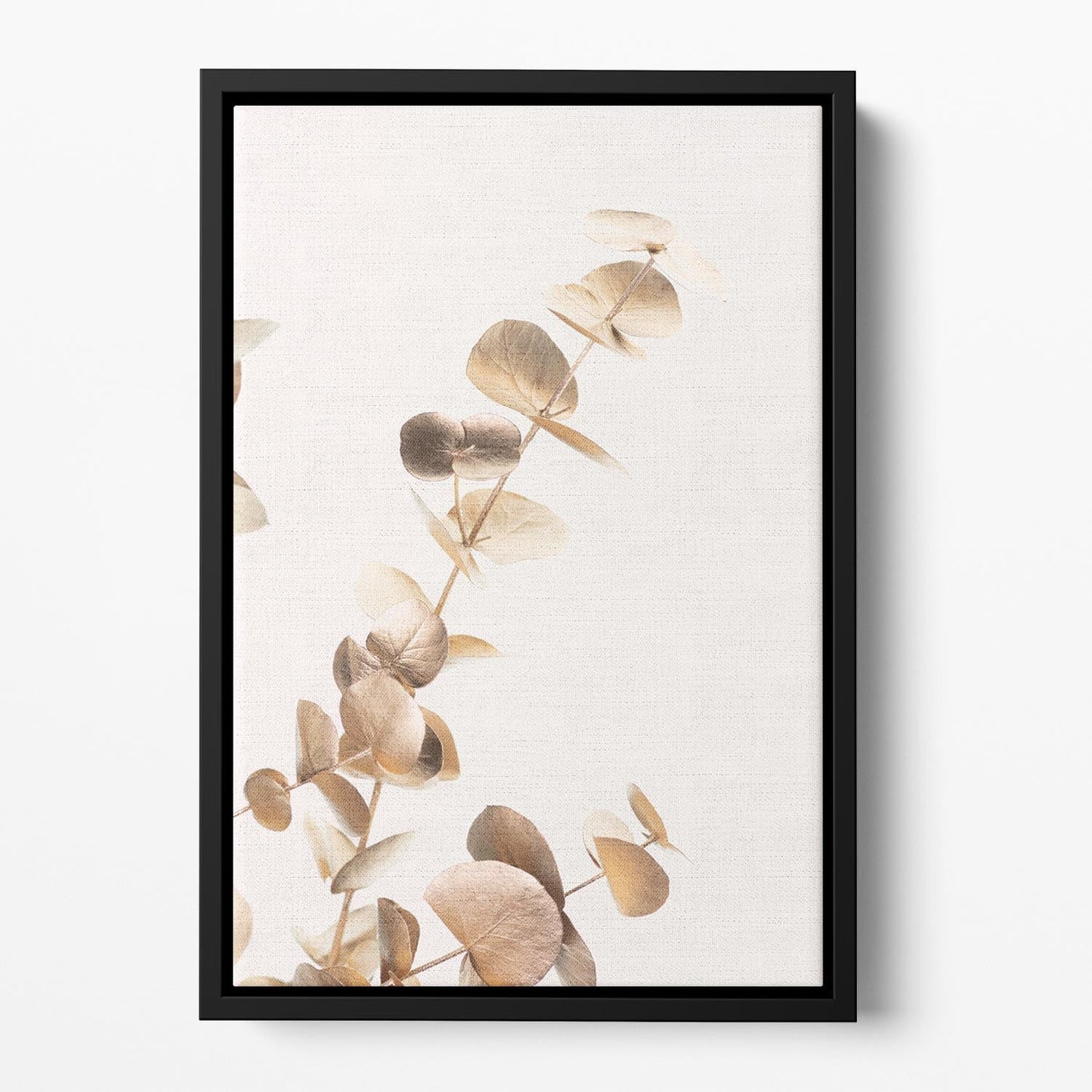 Eucalyptus Gold No 03 Floating Framed Canvas