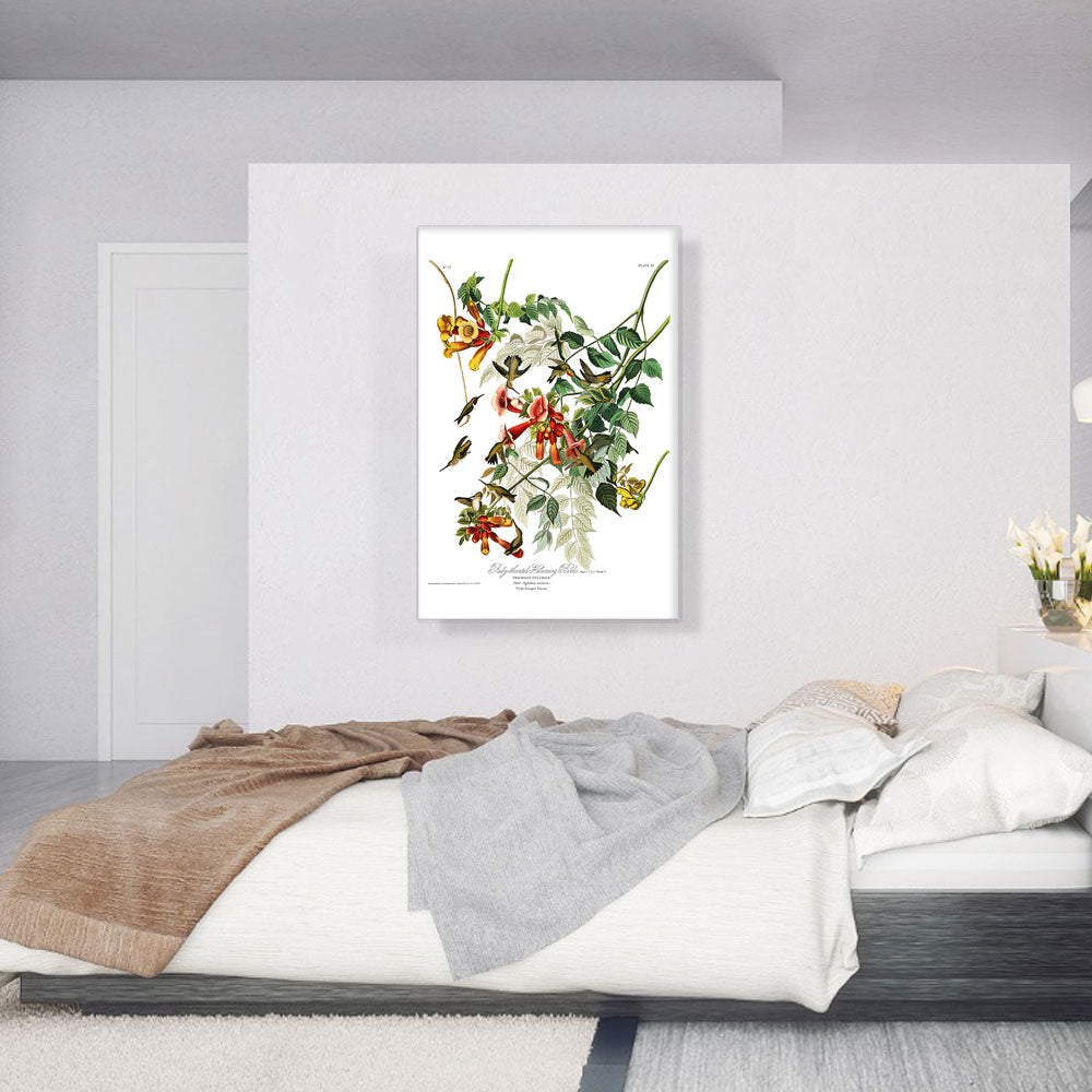 Ruby Throated Humming