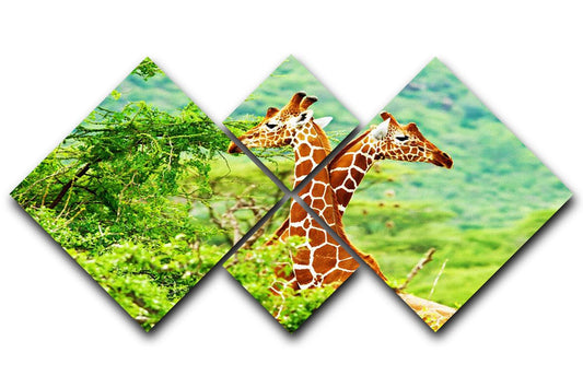 African giraffes family 4 Square Multi Panel Canvas