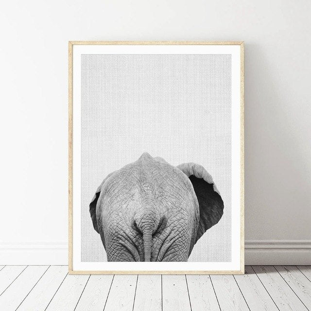 Animal Elephant Butt Canvas Print Modern Decor