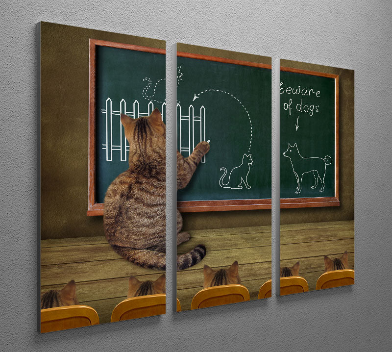 Cat teacher and his pupils 3 Split Panel Canvas Print