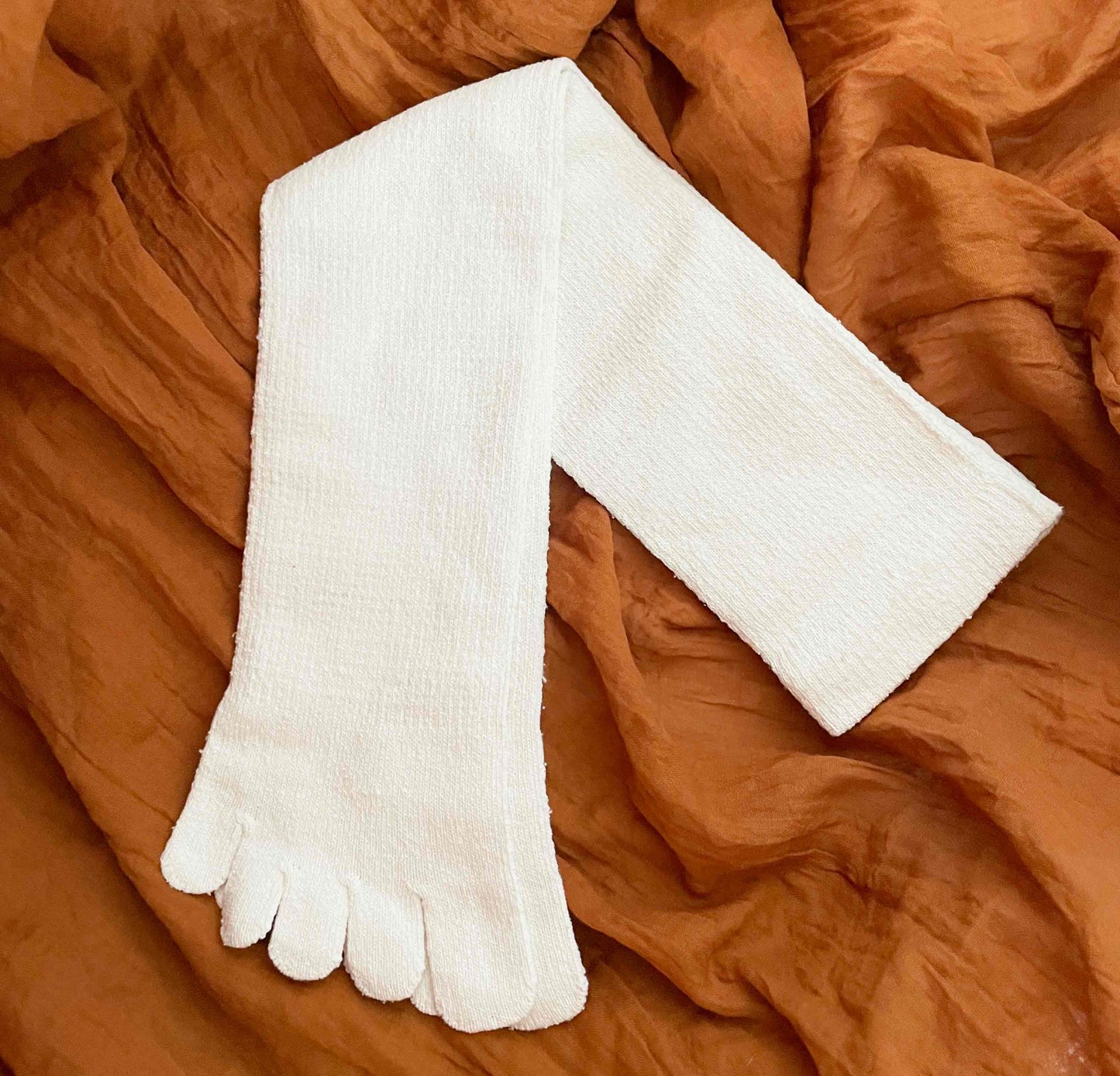 Chaussettes en soie hautes