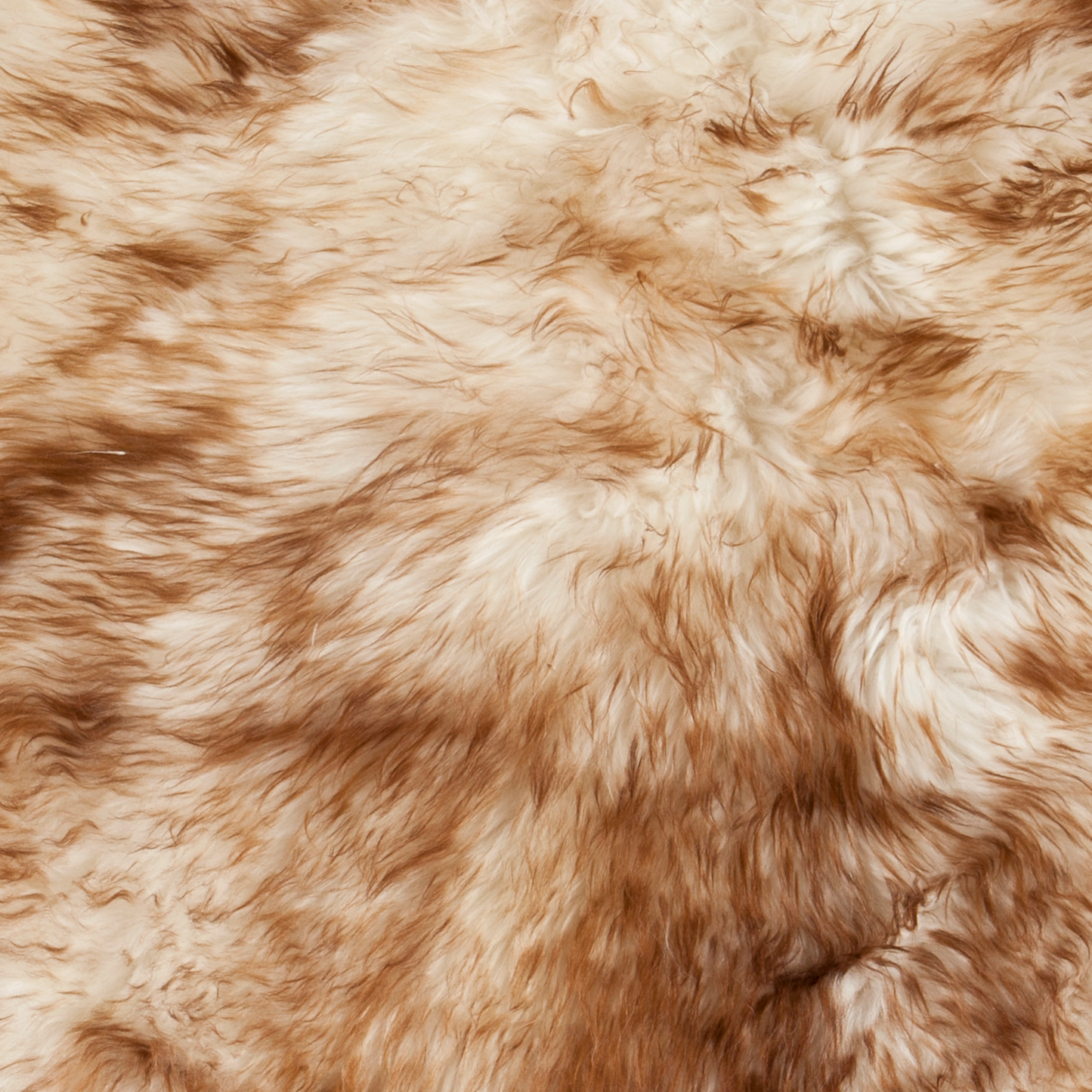 Schapenvacht | Mouflon | 100 x 65cm