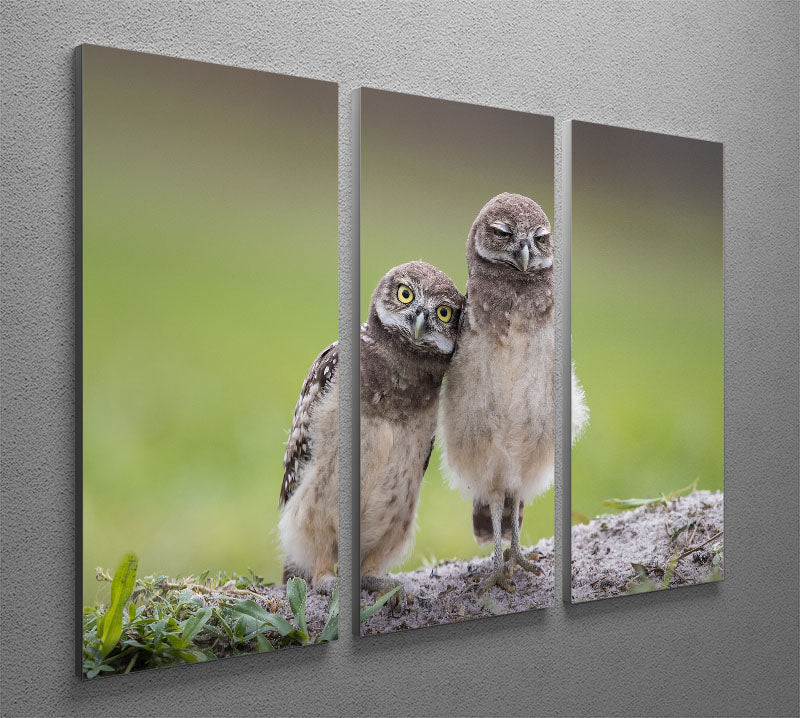 Friends 3 Split Panel Canvas Print