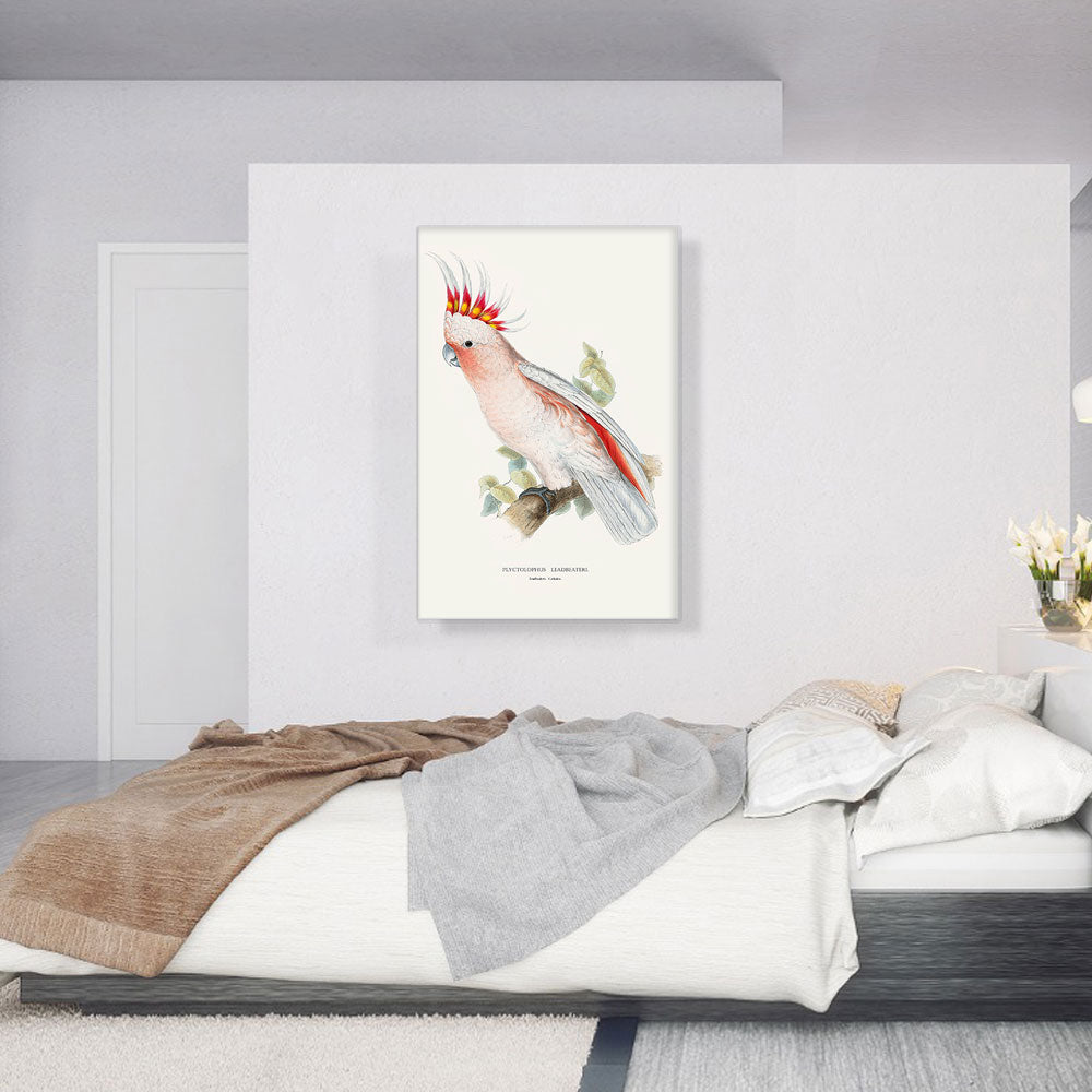 Leadbeater's Cockatoo