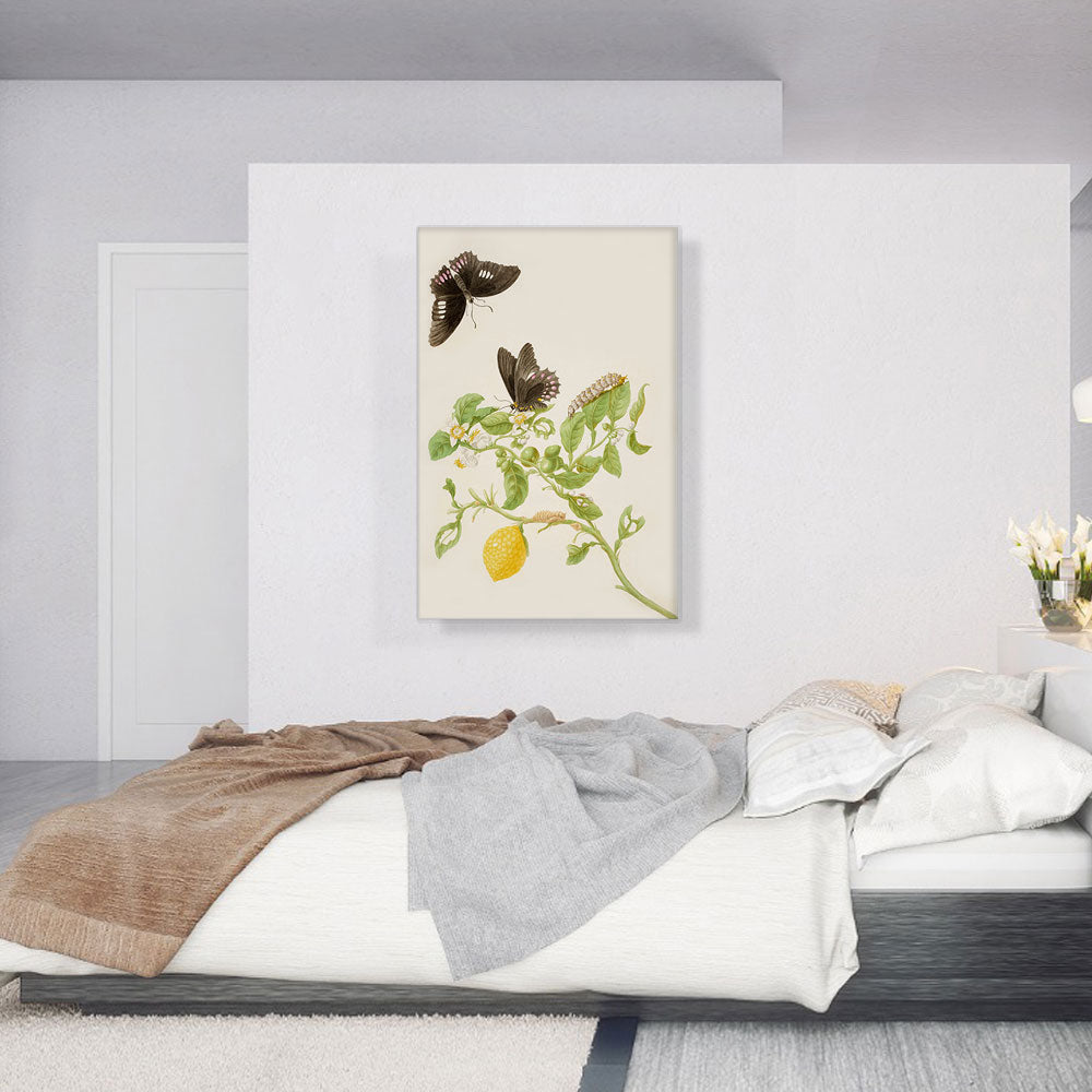 Key Lime With Ruby Spotted Swallowtail Butterfly 1702