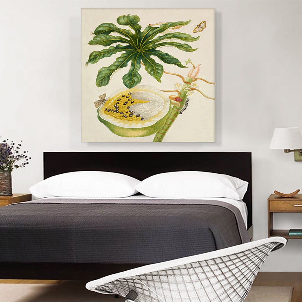 Papaya Plant with Nymphalidae Butterfly 1702