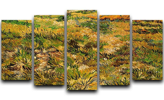 Meadow in the Garden of Saint-Paul Hospital by Van Gogh 5 Split Panel