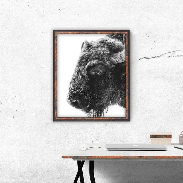 Modern Animal Buffalo Canvas Art Print and Poster