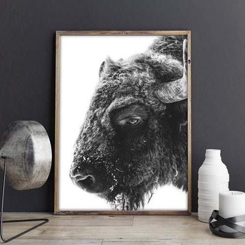 Modern Animal Buffalo Canvas Art Print and Poster
