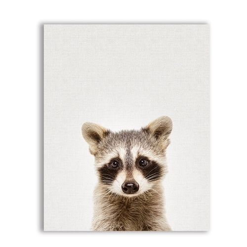 Nursery Animal Raccoon Canvas Prints Wall Art