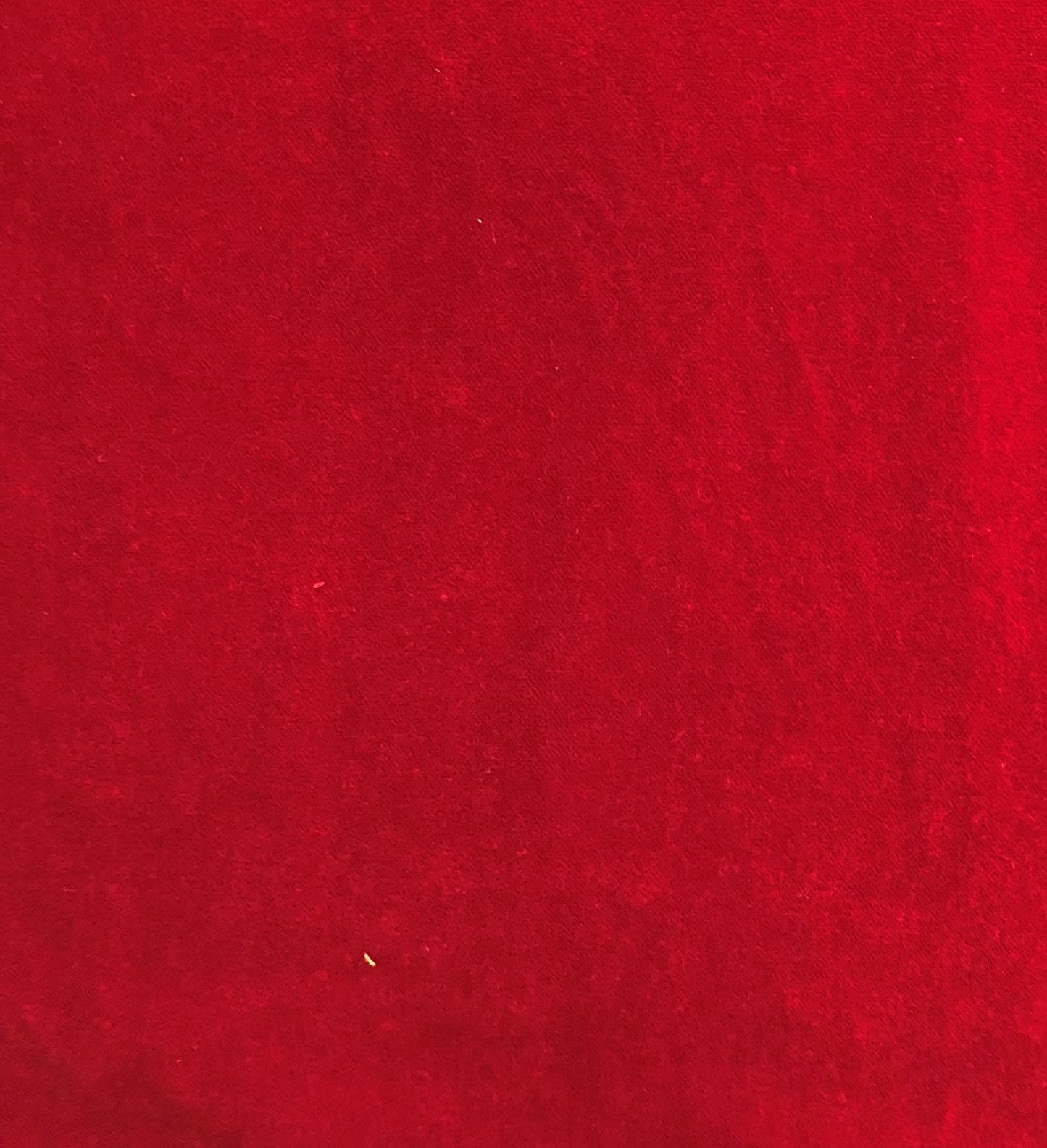 Amber Rose Luxury Throw Pillow in Red