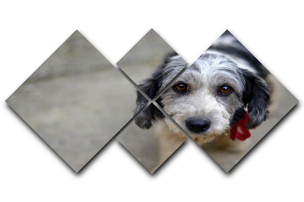 Sad look of a cute stray dog 4 Square Multi Panel Canvas