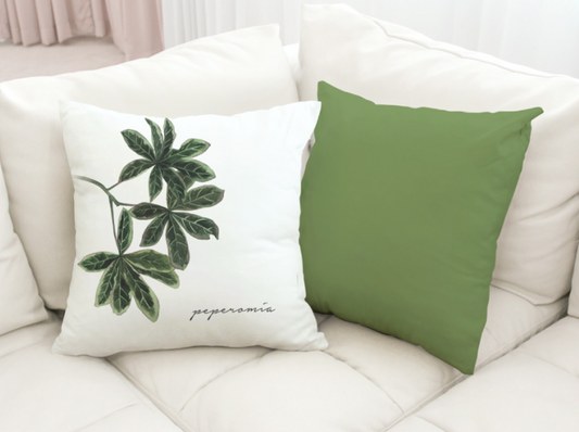 Palm Leaf_Peperomia