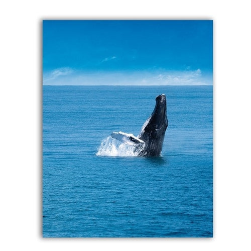 Sea Animal Whale Print Ocean Wall Art Decor ,