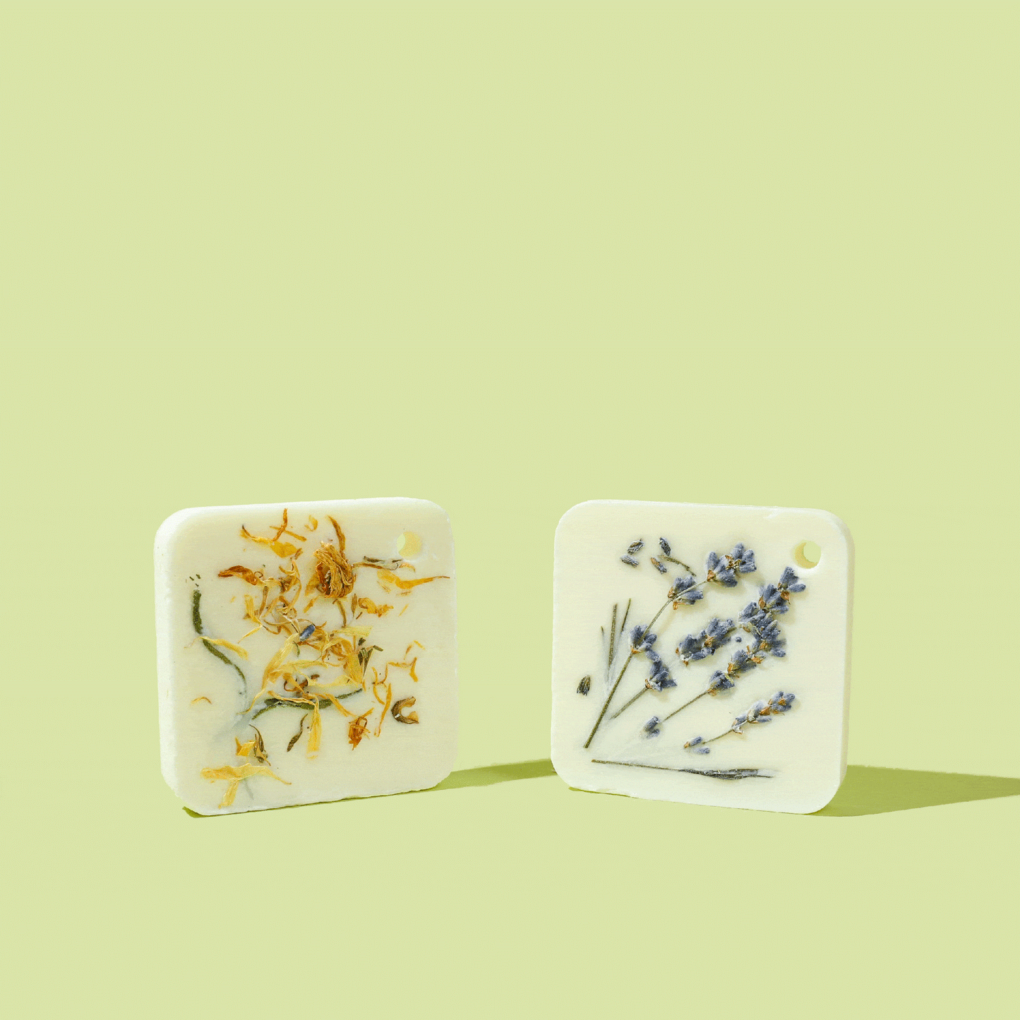 Botanical Wax Sachet Bundle