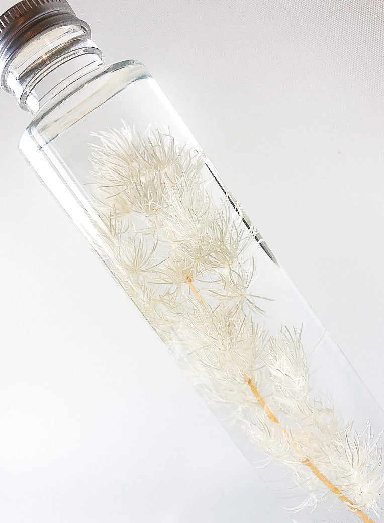 Ming Fern Preserved Flower, Home Interior Decor, Bouquet Water Globe