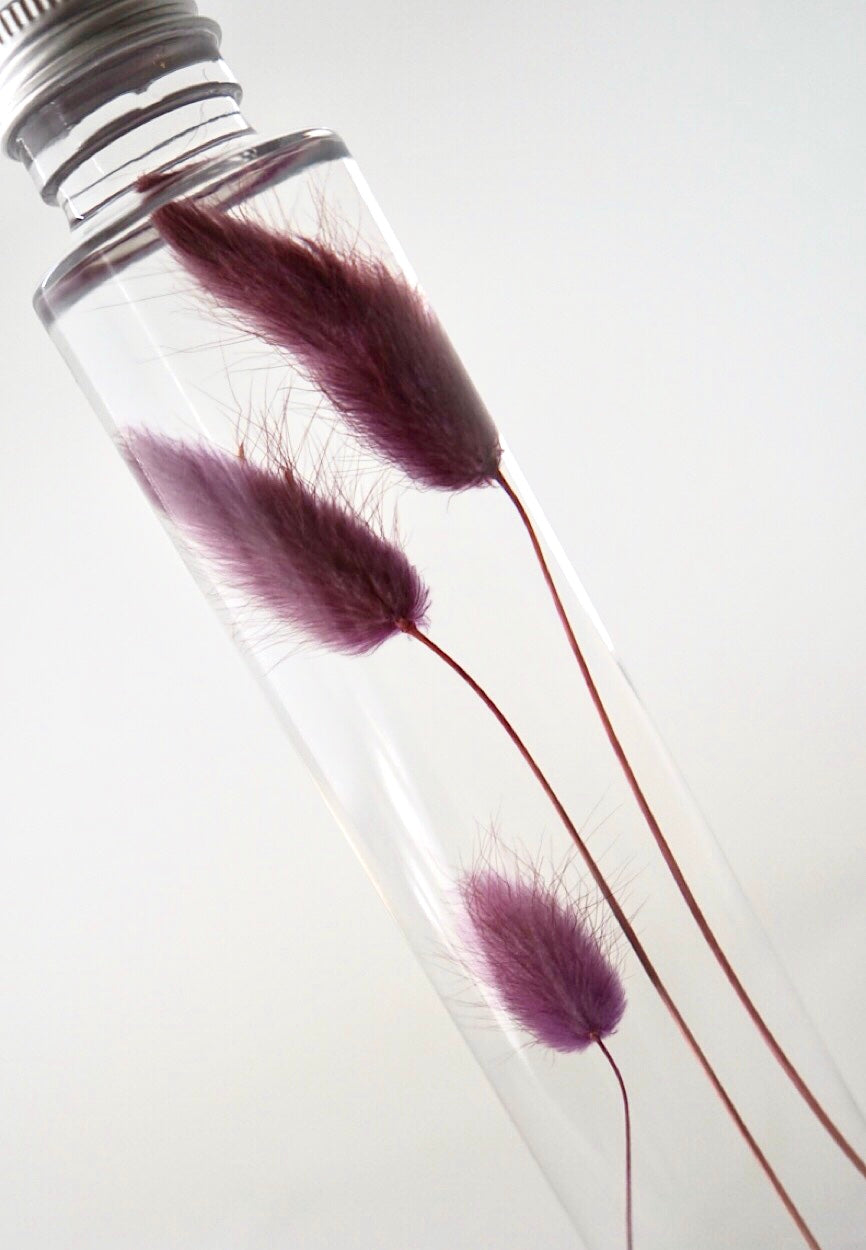 Bunny Tail Preserved Flower Botanical Bottle Keepsake, Home Interior