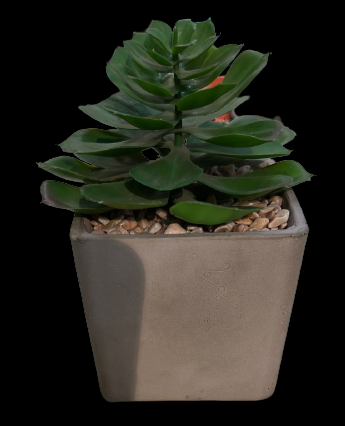 Artificial Plant & Pot