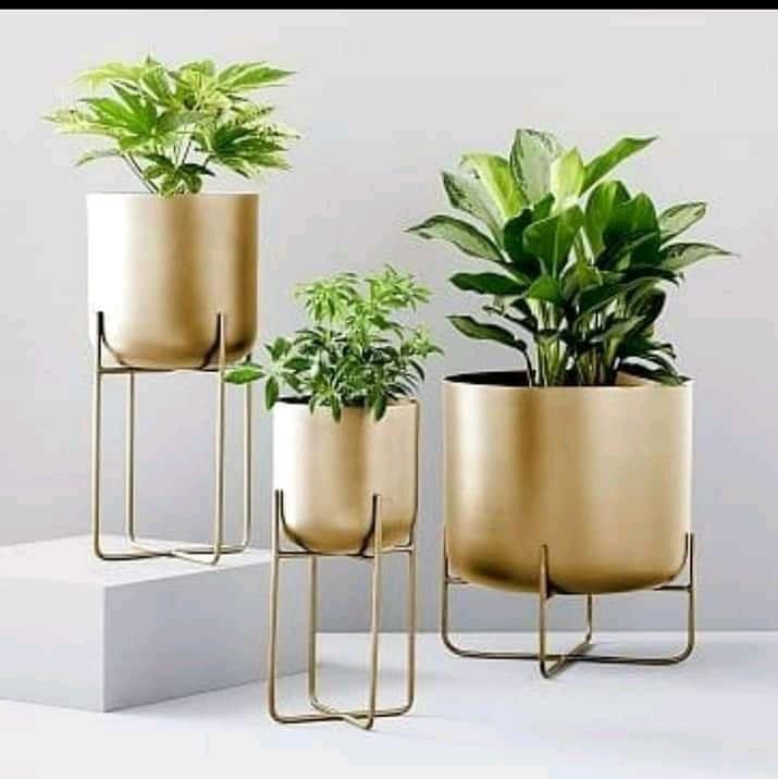 The Decor Remedy Ovate Planters White & Gold Set Of 3