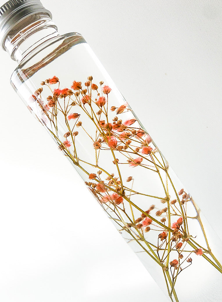 Baby's Breath Preserved Flower Keepsake, Table Decor, Home Interior