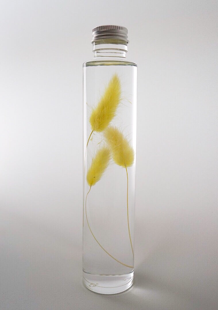 Bunny Tail Preserved Flower Botanical Bottle Keepsake, Home Interior