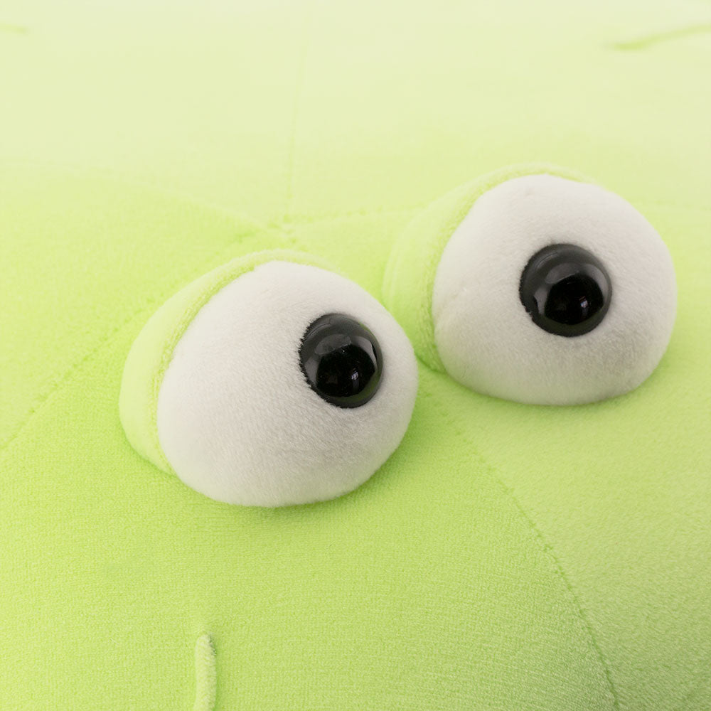 Soft toy, Sea star green (80cm)