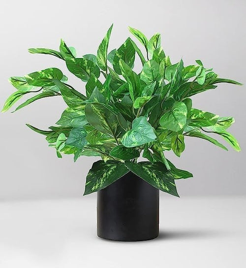 Artificial Money Plant with superiour Quality Plastic Pot,for Indoor