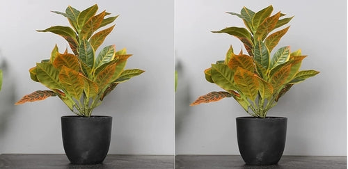 Croton Artificial Croton Petra for Desk top,Bathroom,Living Rooms and