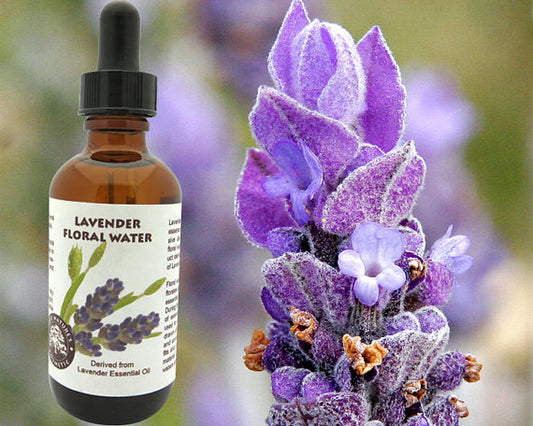 Lavender Floral Water (Hydroflorate or Hydrosol)