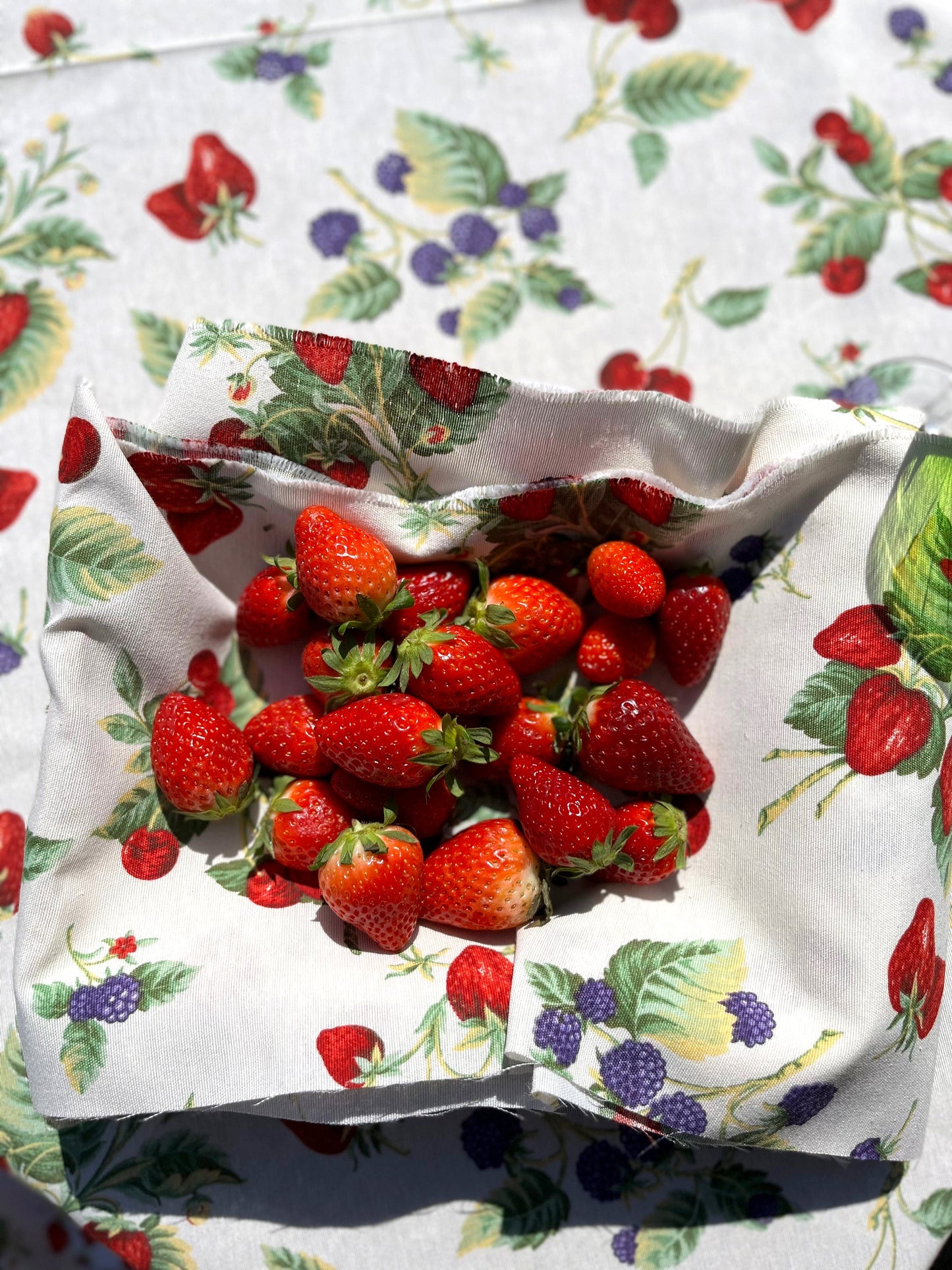 PACK DE DOS SERVILLETAS FRESAS