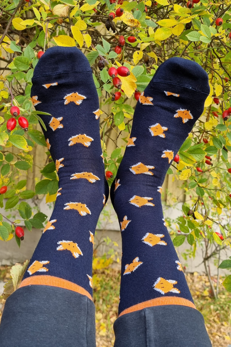 FOX LIFE merino wool socks with foxes