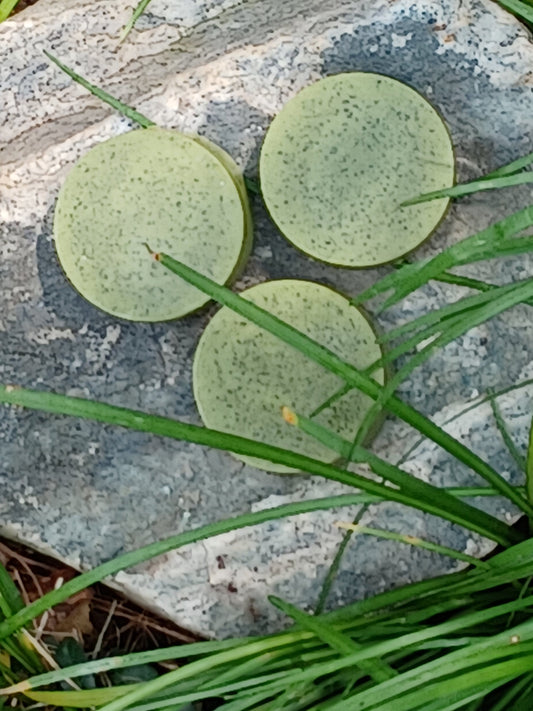 Moringa Soap Bar
