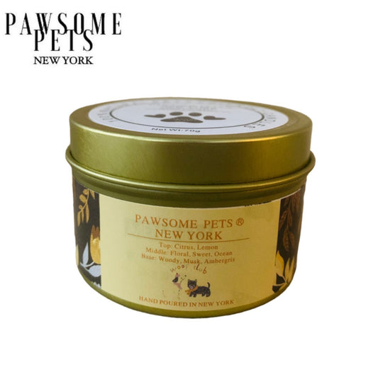 CANDLE - OCEAN LEMON