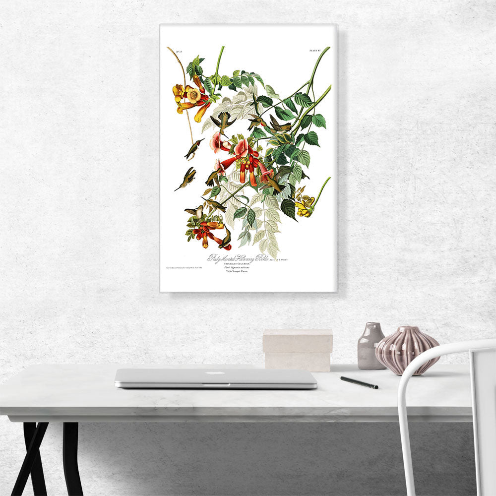 Ruby Throated Humming