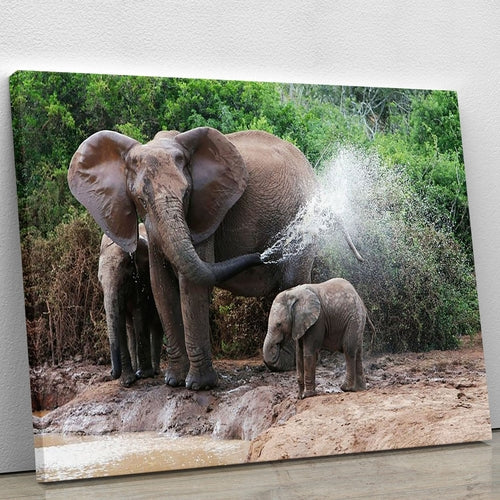African elephant mother and baby cooling off Canvas Print or Poster