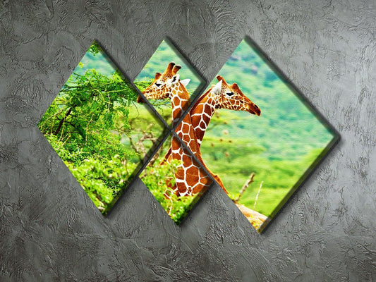 African giraffes family 4 Square Multi Panel Canvas