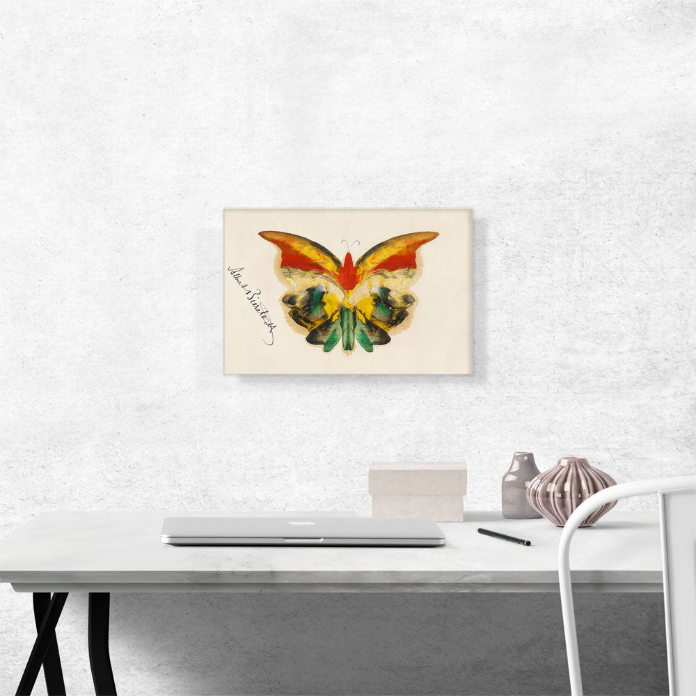 Yellow Butterfly 1890