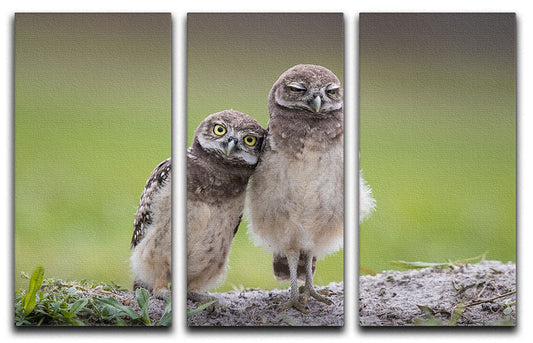 Friends 3 Split Panel Canvas Print