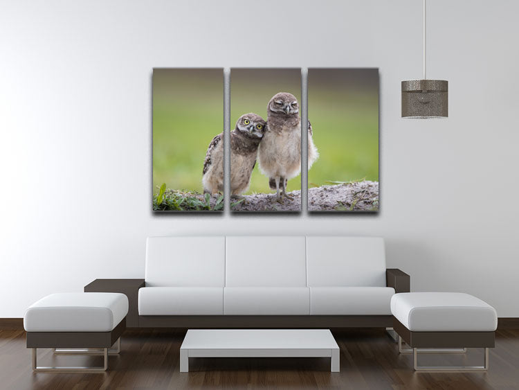 Friends 3 Split Panel Canvas Print