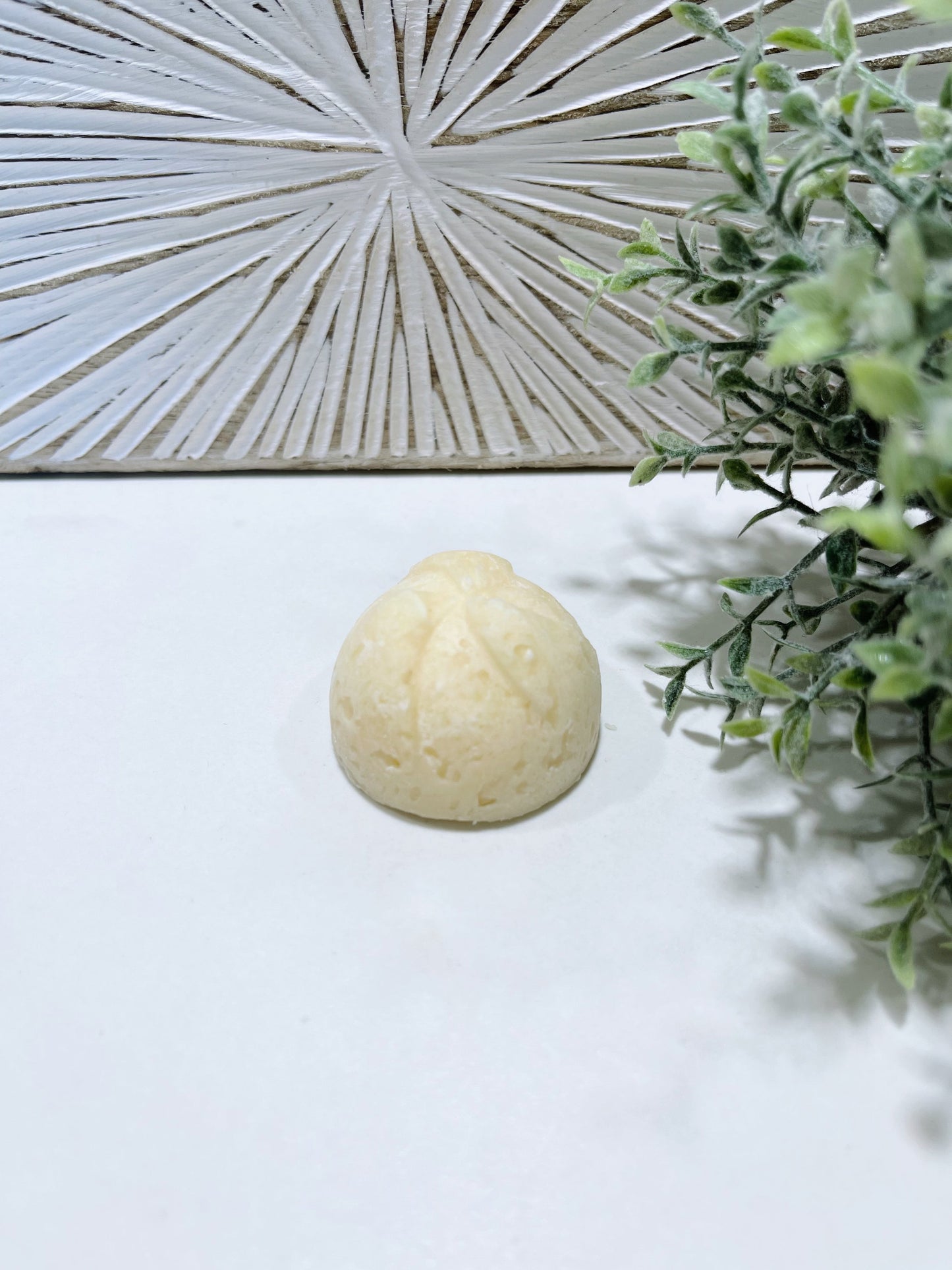 Shampoing Solide 20g