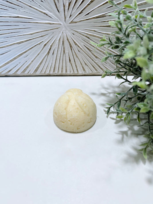 Shampoing Solide 20g