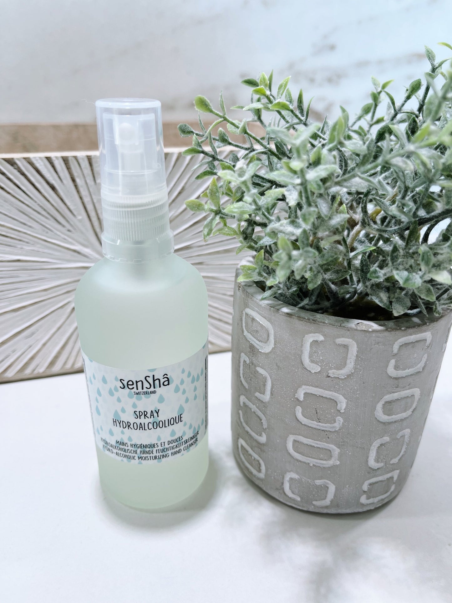 Spray Hydroalcoolique 100ml