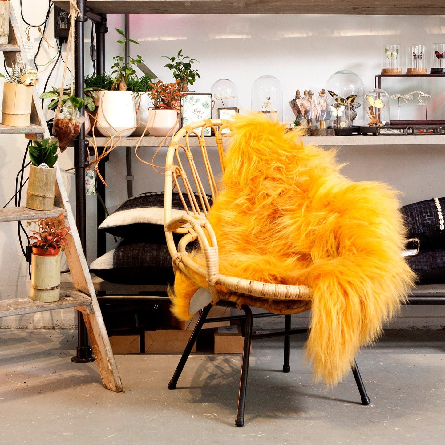 Schapenvacht IJslands | Geel | 100 x 65cm