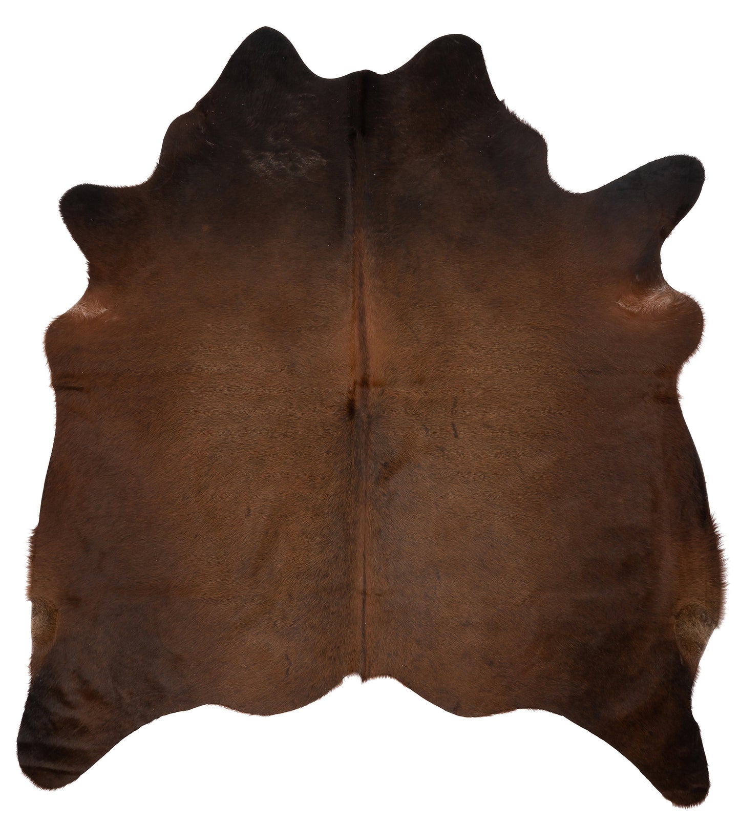 K805 | Unieke Koeienhuid XL | Donkerbruin | ca.210 x 180cm