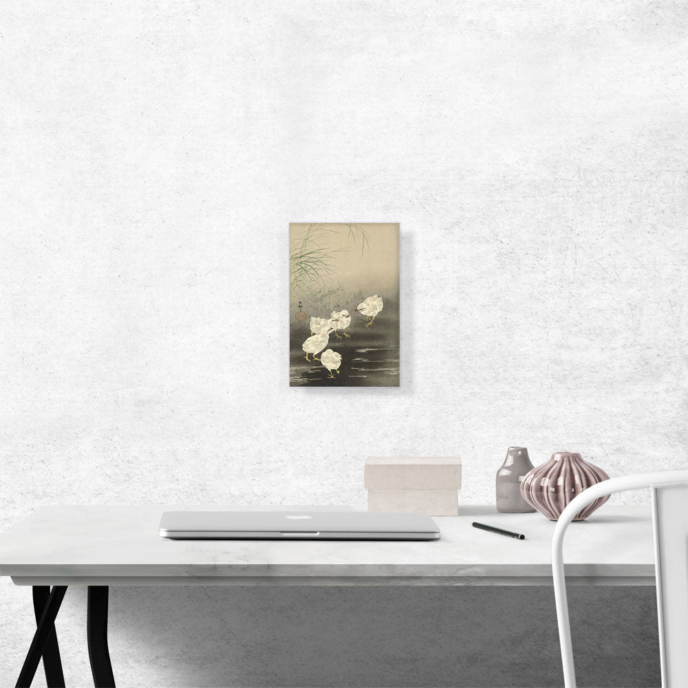 Baby Chicken and Worm