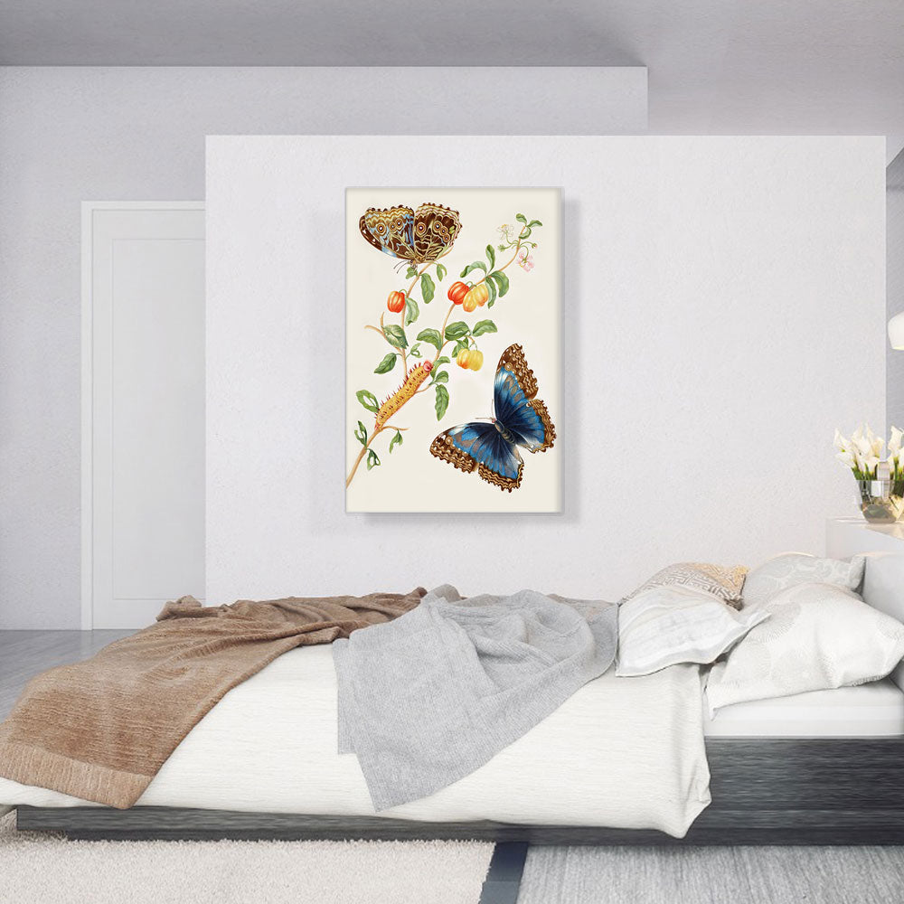 Branch Of West Indian Cherry With Achilles Morpho Butterfly 1703