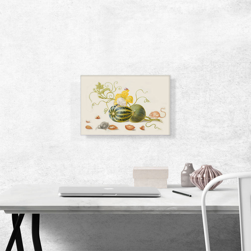 Mice With Squash And Nuts 1705