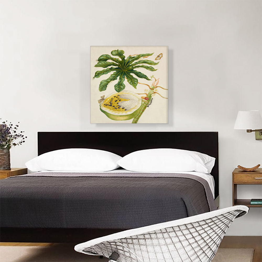 Papaya Plant with Nymphalidae Butterfly 1702